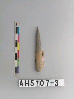 藏品(石針)的圖片